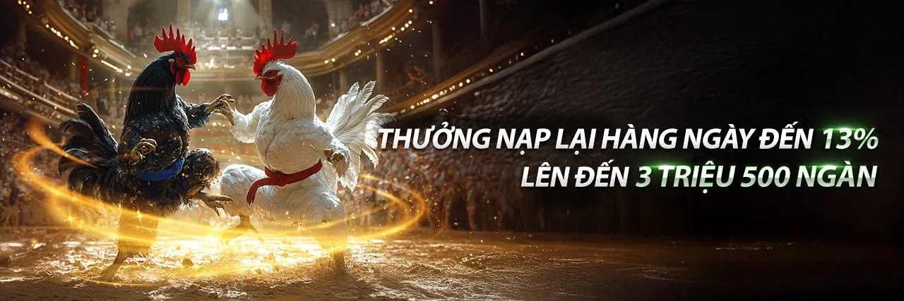 Hình ảnh chính về khuyến mãi độc quyền tại dagac3 thể thao với chủ đề vàng đen sang trọng